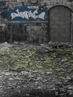 /album/pdma-urbex/a2011-07-08-lillebonne-usine-brique-pfdeur-6-copiebbb-jpg/